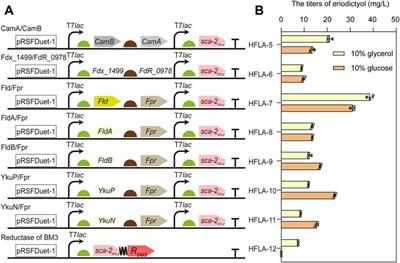 Efficient hydroxylation of flavonoids by using whole-cell P450 sca-2 biocatalyst in Escherichia coli